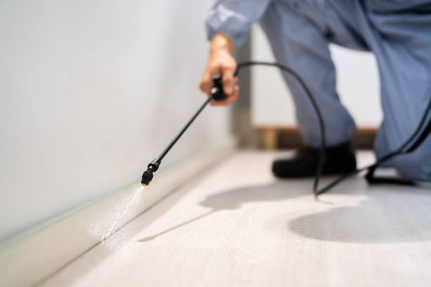 Bed Bug Pre-Treatment Preparation Assessment in Huron