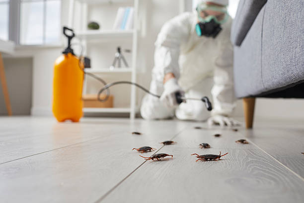 Post-Treatment Bed Bug Interceptor Monitoring in Huron