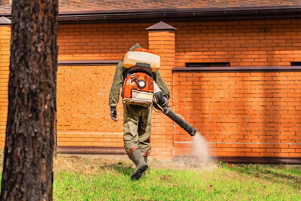 Bed Bug Clearance Verification and Documentation in Huron